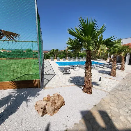 Palms 4*