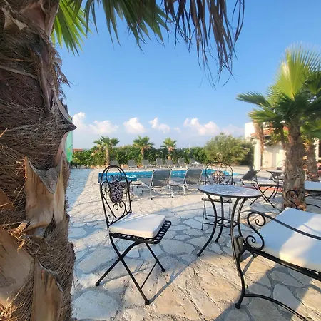 Palms