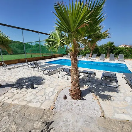 Palms